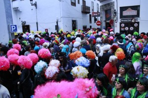 Fiesta de la Peluca: Wettbewerb um Kunsthaarkunst. Foto: Stadt