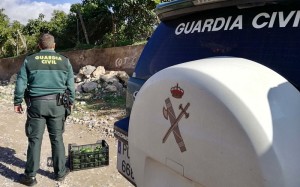 Spezialeinheit der Guardia Civil: Seit Anfang Februar 2018 lehren sie den Avocado-Dieben auf La Palma das Fürchten.