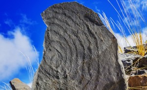 Tarek Ode: Fotos von den Petroglyphen.