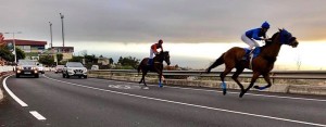 Die Inselmeisterschaften haben der Pferderennen haben begonnen: Auftakt war in El Paso. Foto: Cabildo