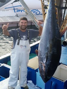 Da freuen sich Fischer und Feinschmecker: Zur Zeit gibt es überall frischen Roten Thunfisch. Foto: José Lorenzo León