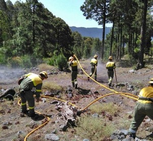 EIRIF-Truppen: Die Spezialeinheiten stehen nicht nur als Verstärkung der örtlichen Fire-Fighter bereit, sondern helfen auch bei der Waldbrand-Prävention. Foto: GobCan