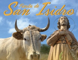 Der Heilige Isidro und die Viehmesse: Tradition in Breña Alta.