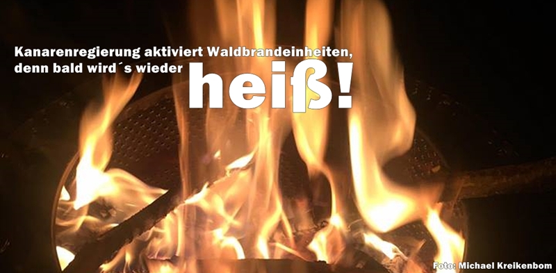 waldbrand-titel-800