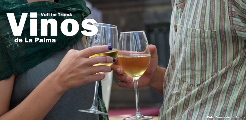 vinos-de-la-palma-titel-800