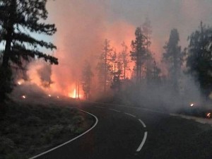 Auf Teneriffa hat es gebrannt: Achtung Inselgäste, auch auf den Höhen von La Palma ist das Waldbrandrisiko groß.