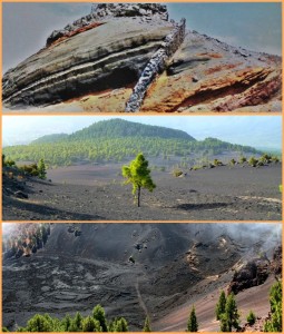 Ein Dyke durchbohrt Lava-Aschen und Lapilli (Foto oben), Aschfeld im Llano del Jable (Mitte) und die Spalteneruption des Llano del Banco 1949: Rainer und Timm geben außergewöhnliche Einblicke.