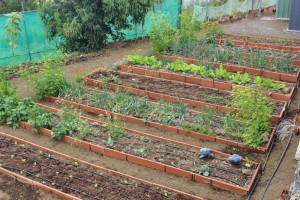 96-stündiger Kurs in Mazo: gelehrt wird ökologischer Gartenbau.