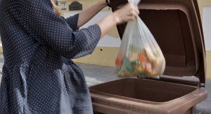 Biomüll kann in Los Llanos, El Paso, Fuencaliente und Tazacorte in die Braunen Tonnen geworfen werden: Betriebe und Gasthäuser können spezielle auf sie zugeschnittene Container für organische Abfälle anfordern. Foto: Cabildo