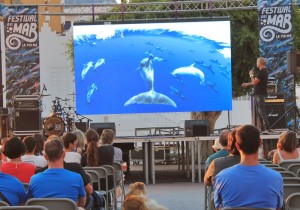 Festival del Mar: Auch wenn man kein Spanisch versteht, erklären die Bilder auf der Großleinwand alles. Foto: La Palma 24