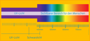 Das Lichtspektrum: 