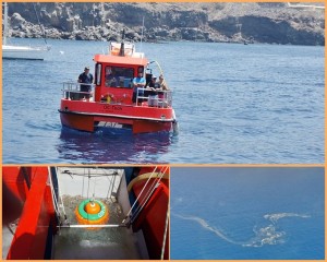 Naturphänomen Mikro-Algen: Die Kanarenregierung hat ein Spezialboot angemietet, das die Teppiche mit dem Bloom absaugen und filtern kann. Fotos: GobCan