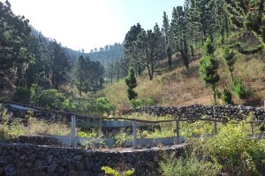 La Palma, La Gomera und El Hierro werden auch die grünen Inseln genannt: