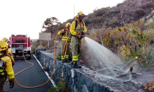 Schneller Alarm und schneller Einsatz: Das Feuer in Fuencaliente konnte sich nicht ausbreiten. Foto: GobCan