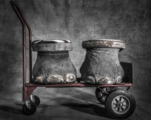 Britta Jaschinski prangert mit diesem Foto die Wilderei an: Konfisziert nannte sie es.