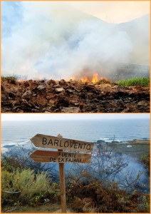 Dank der Bomberos schnell gelöscht: Feuer in Barlovento-La Fajana. Fotos: Gemeinde