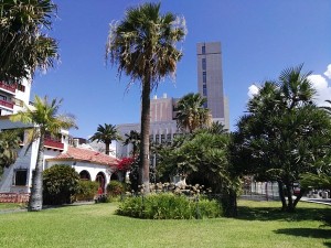 Auf dem Césped genannten Areal südlich vom Cabildo-Turm soll ein neuer Sitz der Inselverwaltung entstehen: Die Partido Popular macht Gegenvorschläge.
