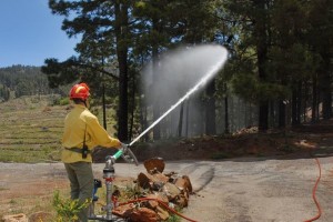 Waldbrandbekämpfung: Wichtig ist ein optimales Netz mit Hydranten. Foto: Cabildo