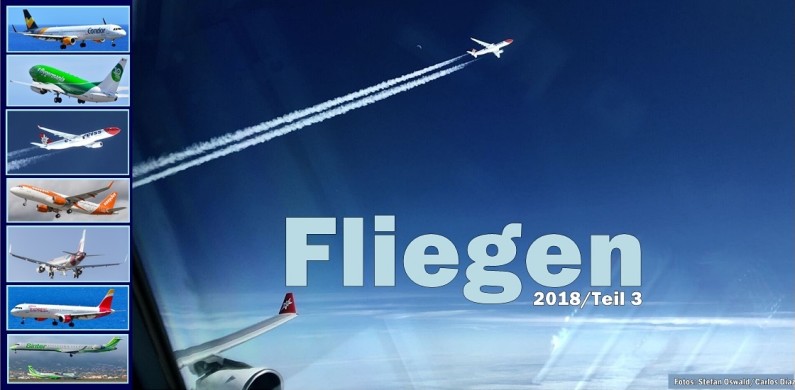 airline-ticker-oktober-2018-edelweiss-foto-1120