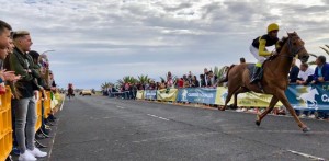 Pferderennen auf der Isla Bonita: strenge Dopingkontrollen. Foto: La Palma Encuestre