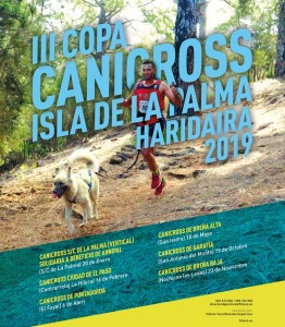 Canicross: Hunde und ihre Menschen beim Trailrun im Team.