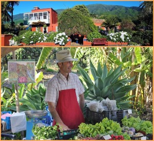 Mercadillo auf der Finca La Principal: jeden Freitag!