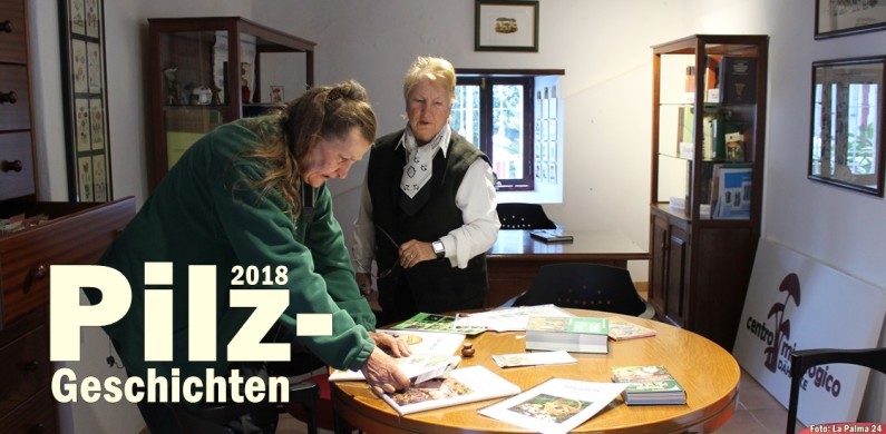 pilze-centro-micologico-titel-1120