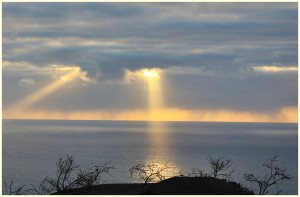 Regenbilanz Dezember: minimal. Sturmbilanz Dezember:
