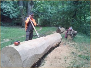 Stephan Guber in seiner Wald-Werkstatt in Nidda: 