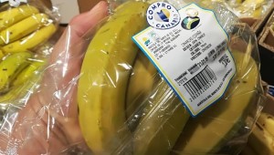 Plastik-Unsinn: Bananen aus Gran Canaria, verkauft bei Lidl auf La Palma un