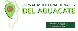 Premiere auf La Palma: internationale Avocado-Konferenz.