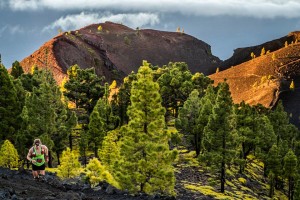 Alle Rennen der Transvulcania führen durch geschützte Landschaften: Deshalb setzt die Rennleitung seit 2018 auf Nachhaltigkeit. Foto: TRV