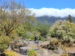 Praxis: Im Garten des Besucherzentrums kann man zwischen vielen endemischen Pflanzen von La Palma spazierengehen.