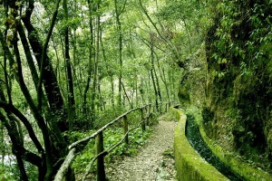 Vom Besucherzentrum aus kann man Spaziergänge und Wanderungen auf dem PR LP 6 bis zu den Quellen von Marcos y Cordero, zum Aussichtspunkt Espigón Atravesado oder über den Wanderweg PR LP 7 bis zum Aussichtspunkt Barandas unternehmen.