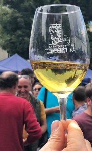 Durchblick in Sachen Vinos de La Palma: Kontrollrat führt Online-Befragung durch.
