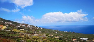 Barlovento im Norden von La Palma: die Ortsteile und Häuser liegen weit verstreut. Foto: Gemeinde