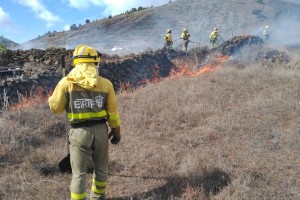 EIRIF-Fire-Fighter der Kanarenregierung: wurden nach dem Waldbrand 2016 auf La Palma gebildet. Foto: GobCan