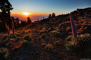 sunset-giovanni-tessicini-tajinasten