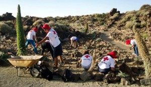 Ehrenamtlich: Freiwillige des Roten Kreuzes Spaniens kümmern sich um die Nationalparks der Provinz Teneriffa. Foto: Cruz Roja