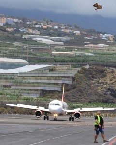 Die Iberia ist sicher gelandet: Die Luft war "rein", denn Fernando und einer seiner Wüstenbussarde haben geflügelte Störenfriede aus dem Luftraum des Airports SPC zuvor erfolgreich vertrieben. Foto: La Palma 24