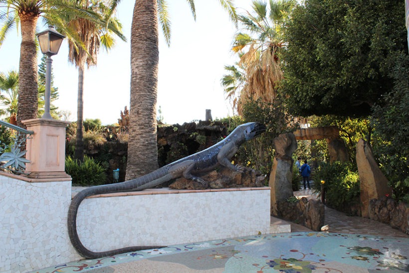 Eidechse im Park Antonio Gómez Felipe, Los LLanos de Aridane