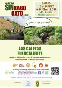 Freiwilligenaktion zur Entfernung des Rabogato in Fuencaliente