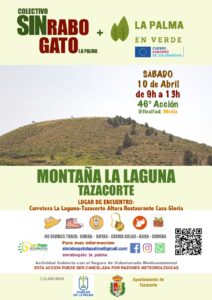 Freiwilligenaktion zur Entfernung des Rabogato in Montaña La Laguna Tazacorte