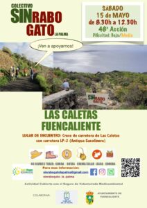 Freiwilligenaktion zur Entfernung des Rabogato in in Las Caletas, Fuencaliente