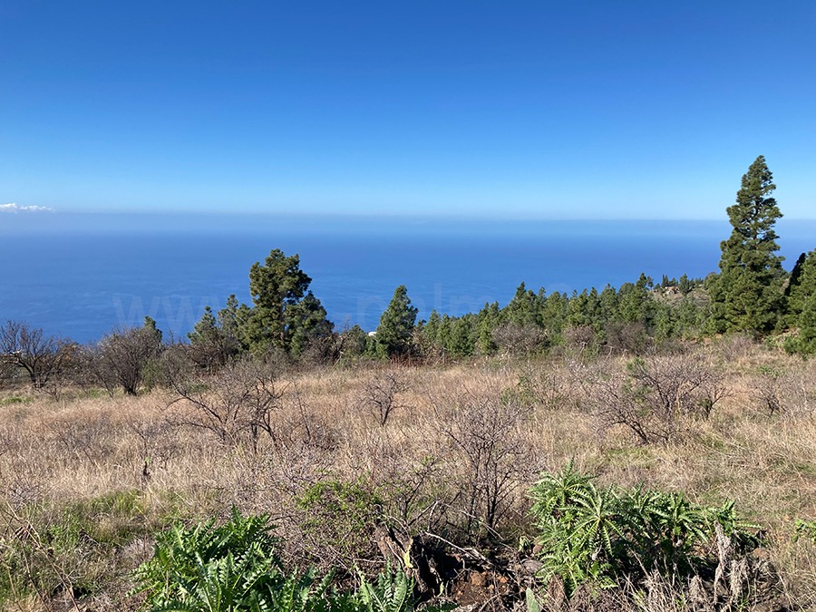 La Palma 24 Portal Inmobilario Immobilie der Woche