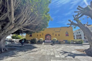 Mercado Los Llanos